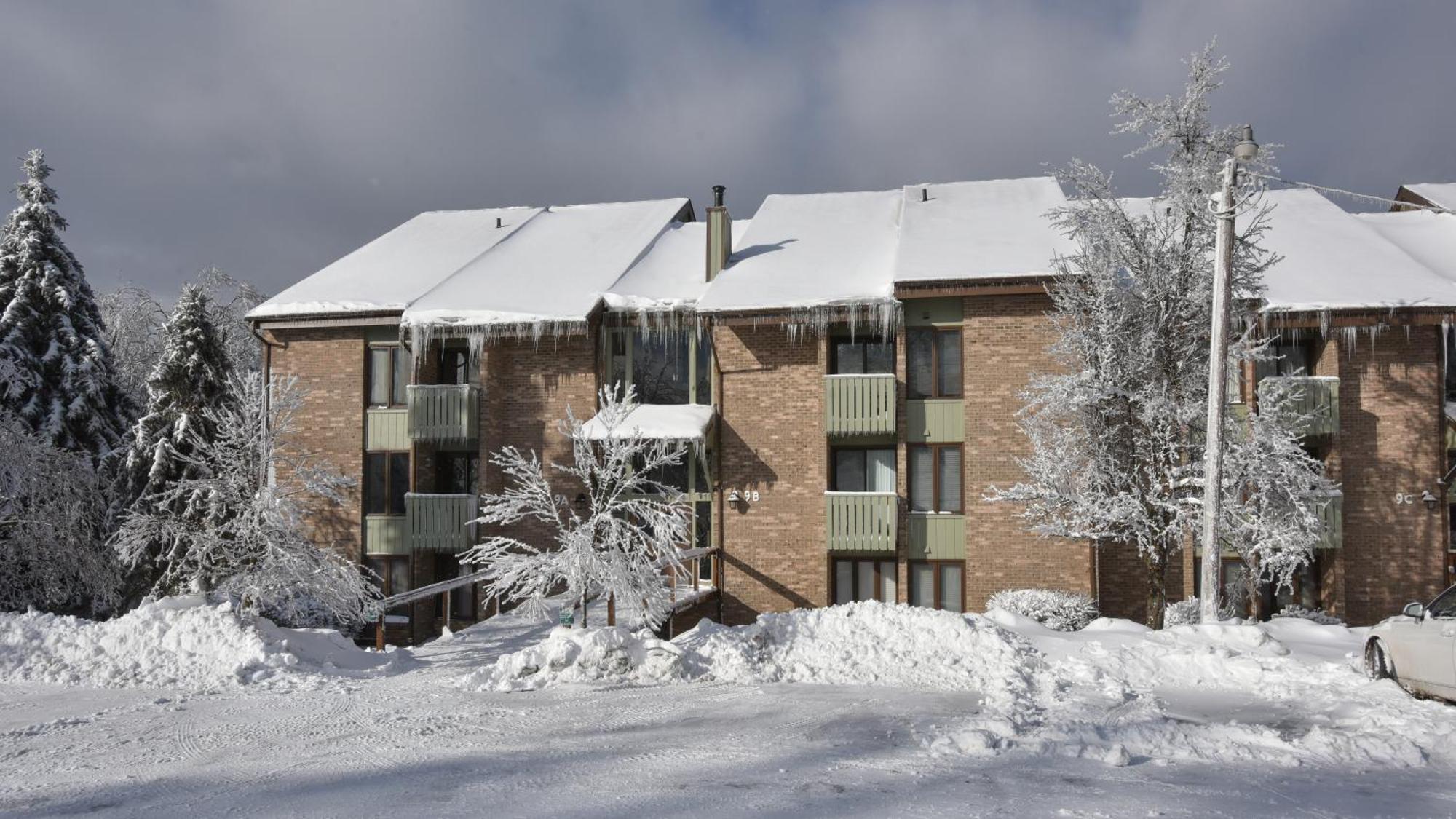 Seven Springs Resort Properties Champion エクステリア 写真